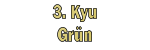 3. Kyu Grün